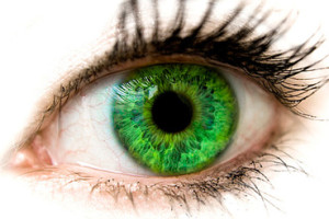 grünes Auge
